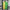 Manchester United 1992-94 Away (Green&Yellow) Retro Jersey