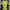 Al Nassr Home Jersey 24 25 Season PLAYER VERSION