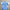 Argentina MESSI 10 Home Jersey Copa America 2024