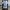Argentina Home Jersey Copa America 2024 PLAYER VERSION