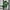 Brazil Christ Redeemer Green Special Edition Jersey