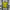 Brazil Christ Redeemer Yellow Special Edition Jersey