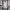 Germany White Windbreaker 25 26 Season