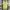 Brazil Home Jersey Copa America 2024