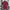 Belgium Home Jersey EURO 2024