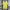 Brazil Home Jersey Copa America 2024