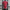 Belgium Home Jersey EURO 2024 PLAYER VERSION