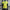 Brazil Home Jersey Copa America 2024 PLAYER VERSION