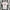 Leeds United Home Jersey 25 26 Season