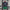 AC Milan x Off-White Fourth Jersey (Black-Green)