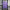 RL Madrid Purple Icon Jersey 2026