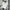 Al Nassr Third Jersey 25 26 Season