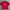 Manchester United Jersey Home 25 26 Season FULL SLEEVE