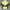 RL Madrid yellow Windbreaker 25 26 Season