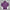 Manchester United purple Windbreaker 25 26 Season